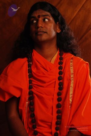 2008 SY14187 CMP WM.jpg