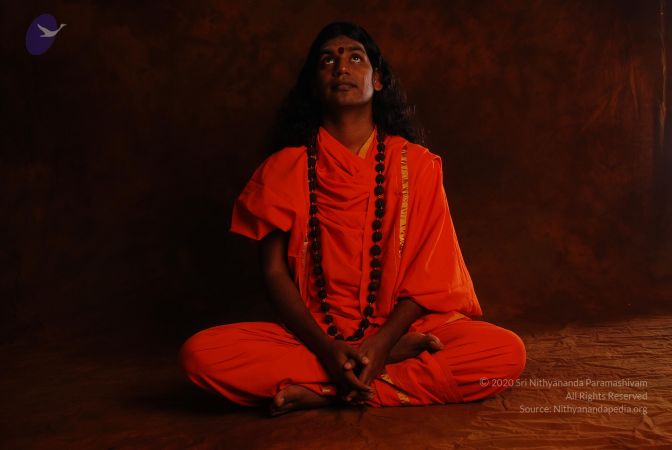 2008 SY14188 CMP WM.jpg