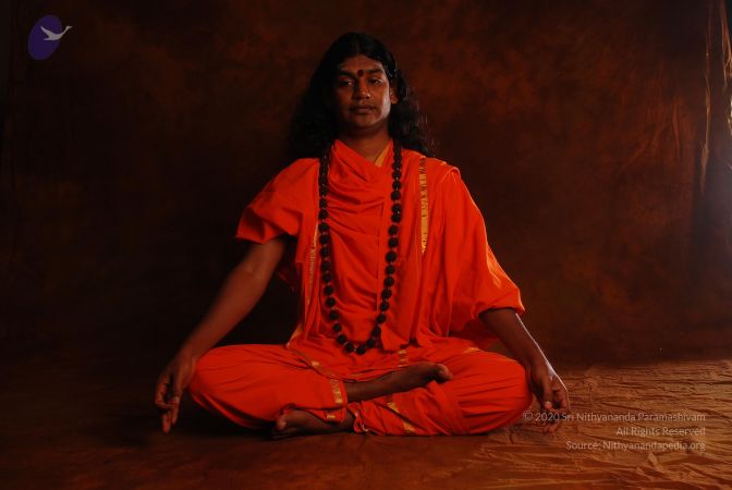 2008 SY14192 CMP WM.jpg