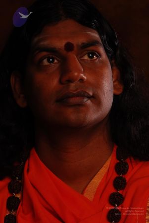 2008 SY14217 CMP WM.jpg