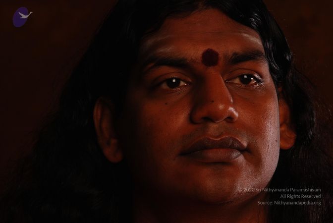 2008 SY14220 CMP WM.jpg