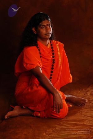 2008 SY14223 CMP WM.jpg
