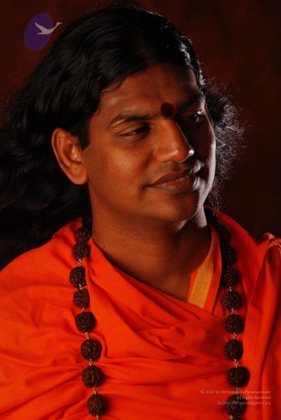 File:2008 SY14263 CMP WM.jpg