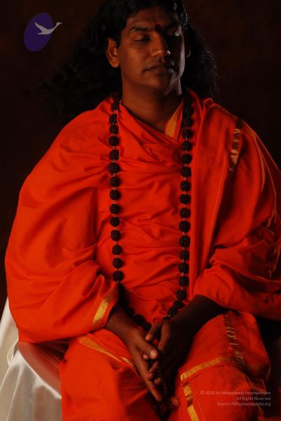 File:2008 SY14317 CMP WM.jpg