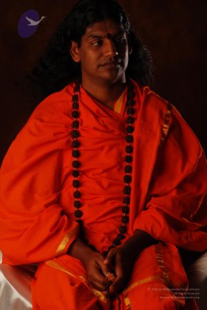 2008 SY14319 CMP WM.jpg