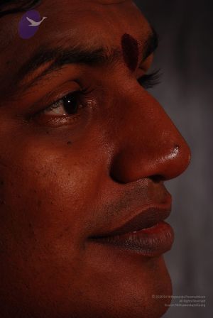 2008 SY14349 CMP WM.jpg