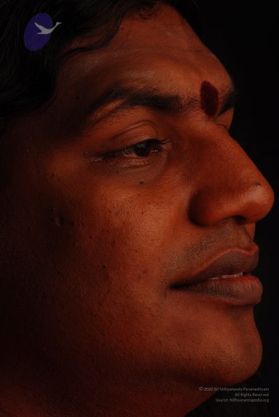 File:2008 SY14363 CMP WM.jpg