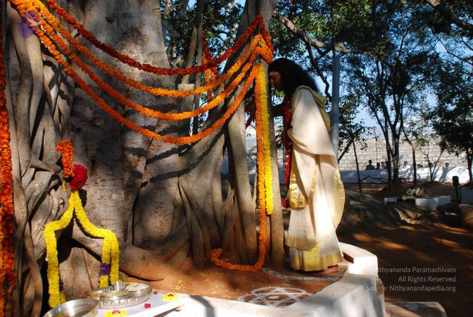 20090101 Photo 1737 12tyVuRWXTvnySbTCLRNlT3MvJASfAVK7.JPG