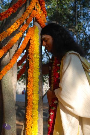 20090101 Photo 1743 1ANUCQLmFqb1JQcfezsWxNpp-lm03GIeg.JPG