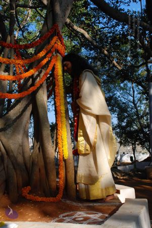 20090101 Photo 1747 1SKZvuC 9PhqdxLHBXs4bYxqVDndYMmsF.JPG