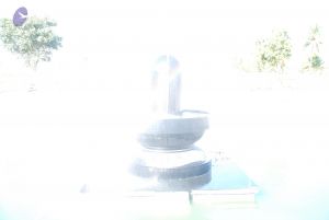 20090102 Photo 1111 1Feg78MOVcVSjtGGLEmVuJ9zfy8LxlIWV.JPG