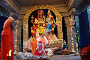 20090102 Photo 2052 1oDjRunI5eR0zmPK1YMtyz2HicuDPSBe-.JPG