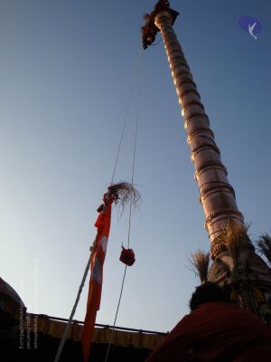 20090102 Photo 2115 1stl1oM2riMbxEEd6B4IdD7ZUBAeSKfqL.JPG