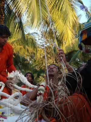 20090102 Photo 2132 1TWr-8sDJ3ELNrOgPuRM9w4oWyX5C-o--.JPG