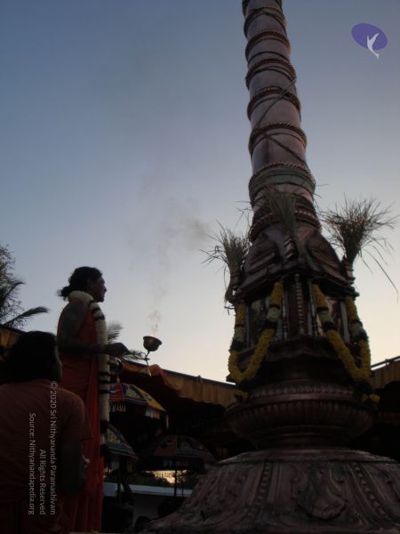 File:20090102 Photo 2154 1DOdkFkrG3cErPj1Q83IFo4QWUxck5 Ha.JPG