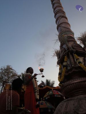 20090102 Photo 2155 1ykTpUut6ZQgpWmSpzQjjQJPhV-bpupyT.JPG