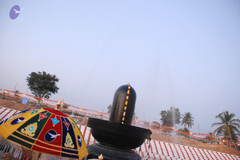 File:20090102 Photo 2167 14npzTPfm-2xqmDk0Zq8FwTh22uvOSQRv.JPG