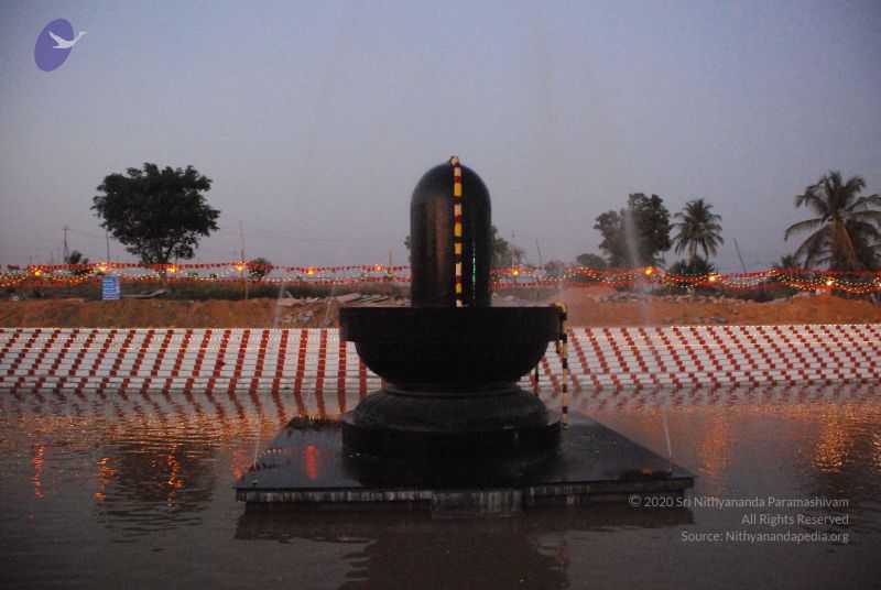 File:20090102 Photo 2223 1L4aQSZbD12rpA6NVVrBZTwp34c16IuZ .JPG