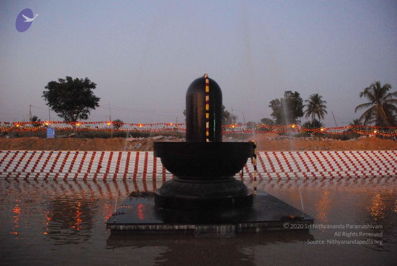 File:20090102 Photo 2224 1ClyUFZ8iuq0I9lw0hRPRQyrBmZdyF24A.JPG