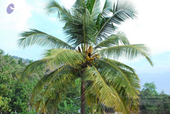 20090108 Photo 1034 1GQ6CDH2PtGiM jprqolT-45ICDyW8gIn.JPG