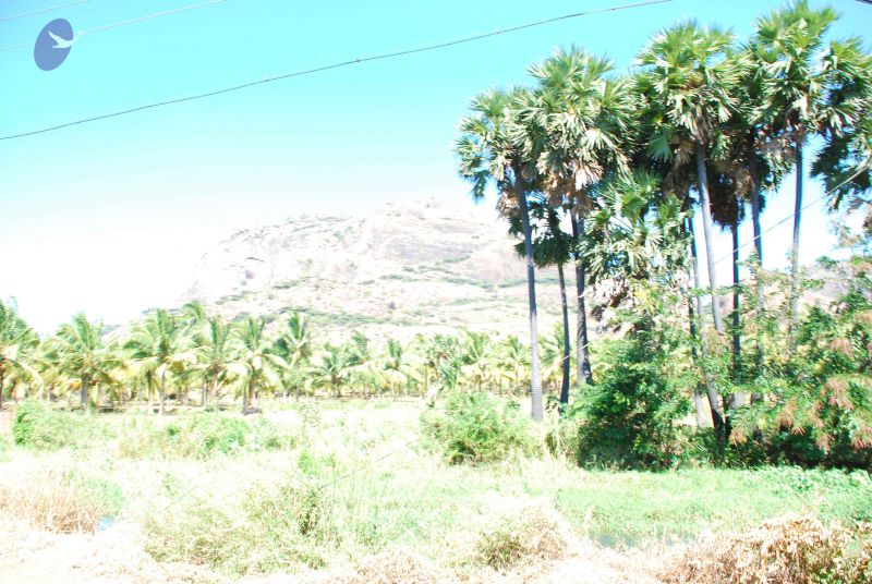 File:20090112 kodikannyatra 0907 CMP WM.jpg