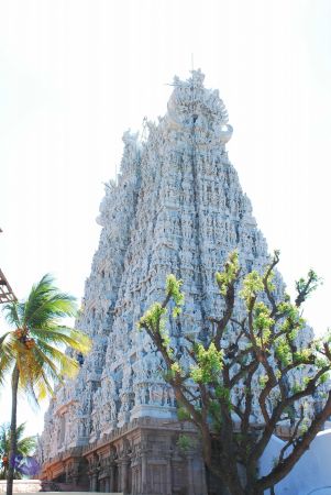 20090112 kodikannyatra 1159 CMP WM.jpg