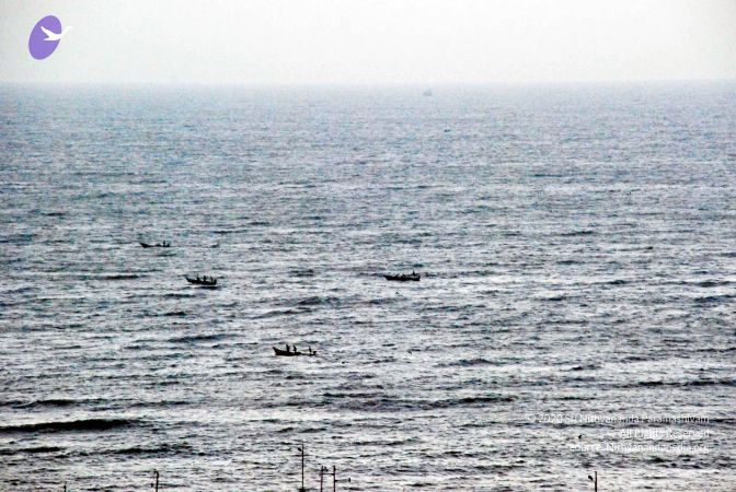 20090113 DSC 2034 CMP WM01.jpg