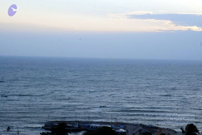 20090113 DSC 2210 CMP WM01.jpg