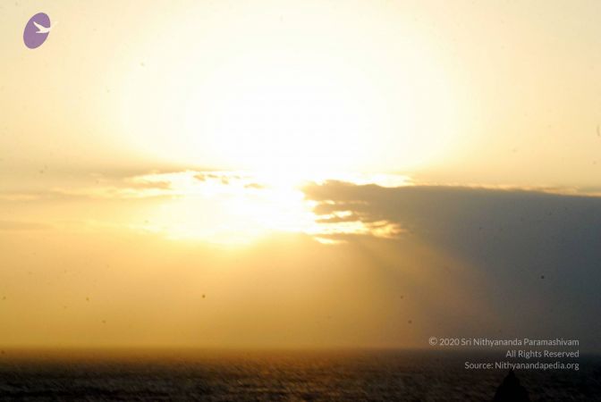 20090113 DSC 2265 CMP WM01.jpg