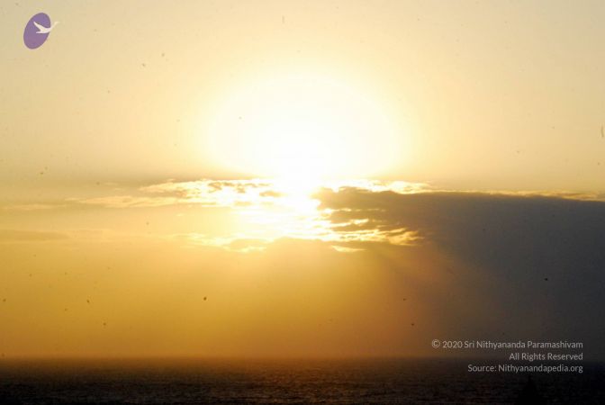 20090113 DSC 2267 CMP WM01.jpg