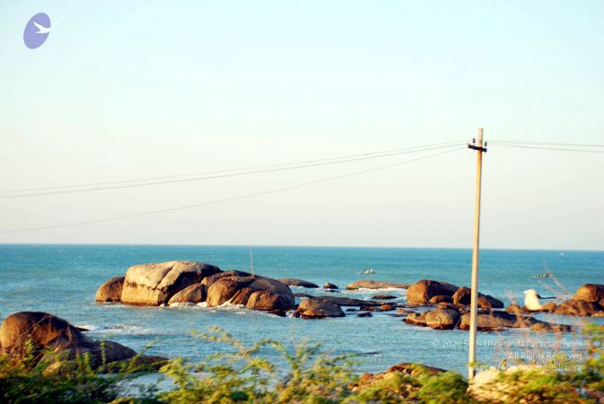 20090113 DSC 2346 CMP WM01.jpg