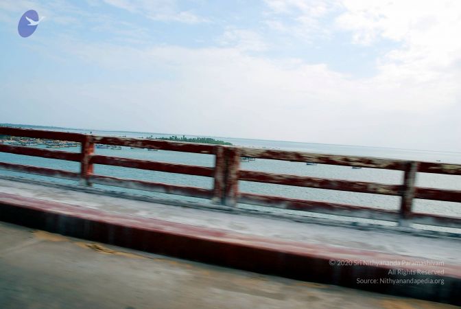 20090114 DSC 0373 CMP WM100.jpg