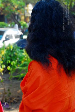 20090118 DSC 3016 CMP WM100.jpg