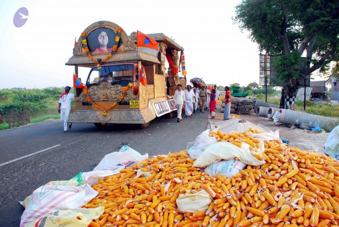 20090120 DSC 0320 CMP WM01.jpg