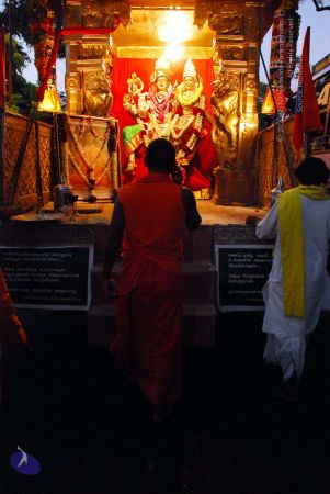 20090120 DSC 0381 CMP WM01.jpg