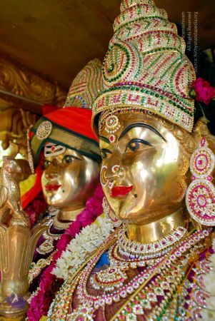 20090121 DSC 0688 CMP WM01.jpg