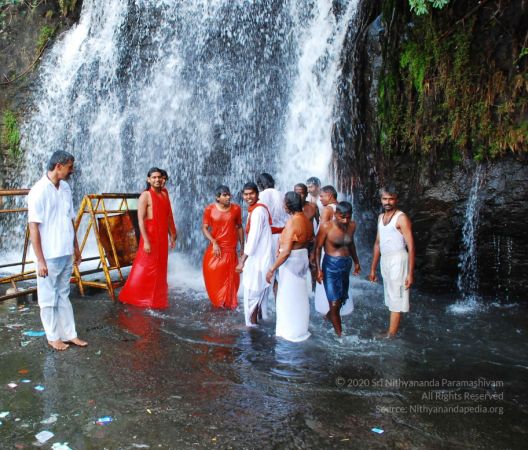 20090130 DSC 0142 CMP WM-0301.jpg