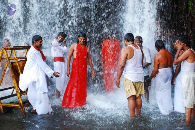 20090130 DSC 0155 CMP WM-1301.jpg