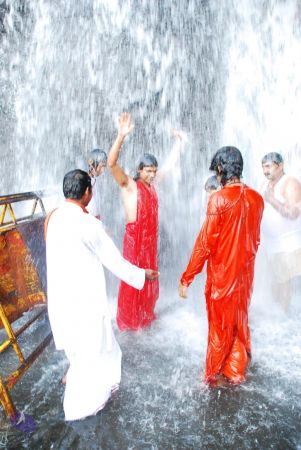 20090130 DSC 0171 CMP WM-2301.jpg