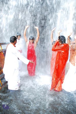 20090130 DSC 0172 CMP WM-2401.jpg