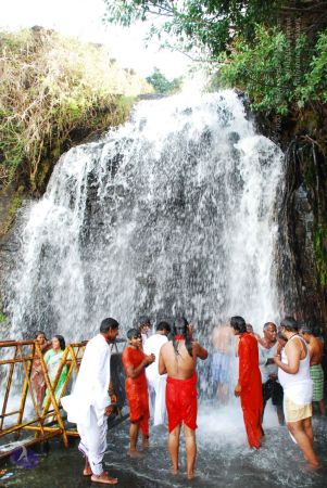 20090130 DSC 0190 CMP WM-4001.jpg