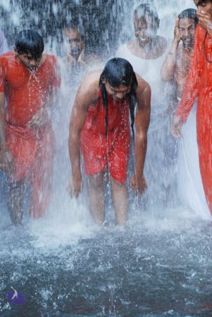 20090130 DSC 0206 CMP WM-5401.jpg