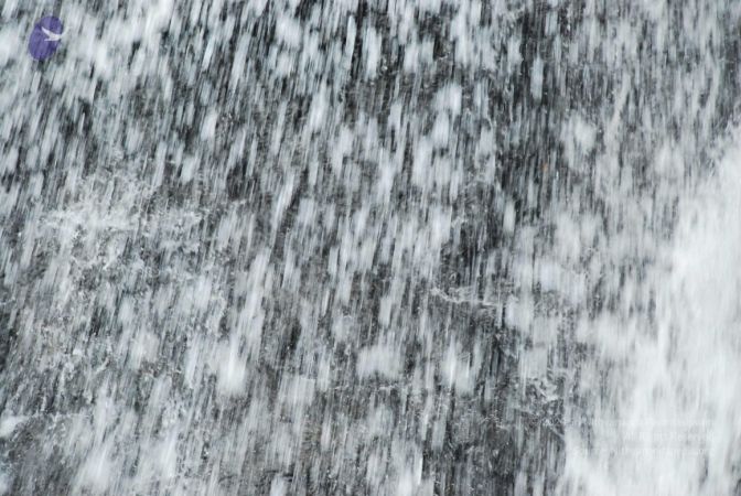 20090130 DSC 0224 CMP WM-7001.jpg