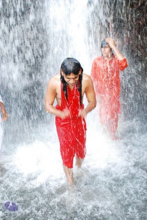 20090130 DSC 0271 CMP WM-10701.jpg