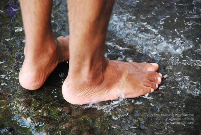 20090130 DSC 0277 CMP WM-11201.jpg