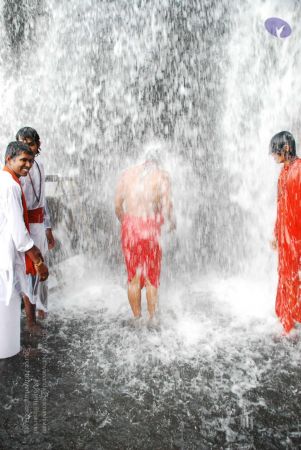 20090130 DSC 0278 CMP WM-11301.jpg