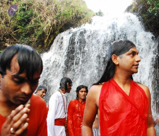 20090130 DSC 0302 CMP WM-13301.jpg