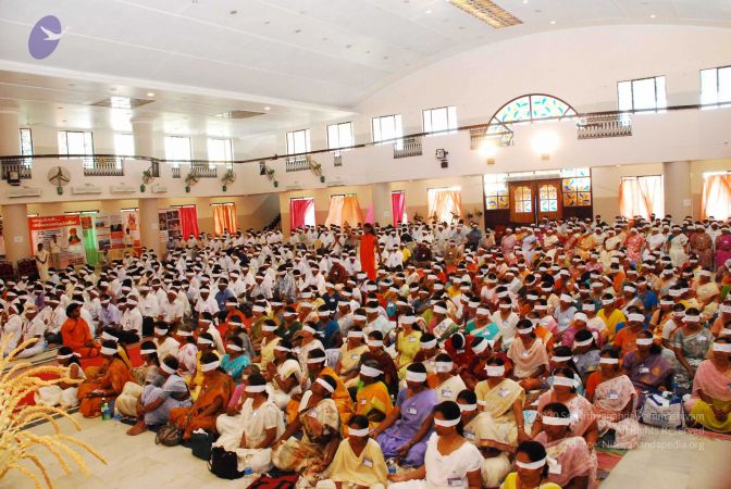 20090131 DSC 0074 CMP WM0001.jpg