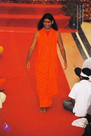 20090131 DSC 0104 CMP WM0001.jpg