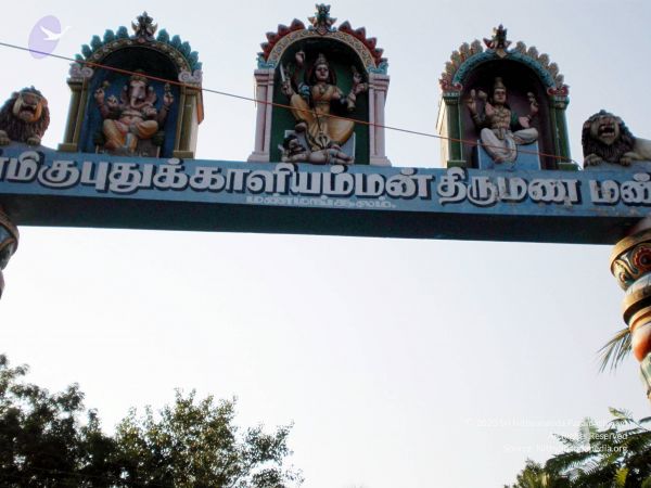 20090131 P1310569 CMP WM01.jpg